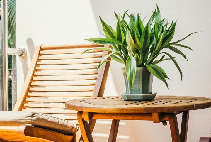 Etiam vulputate convallis