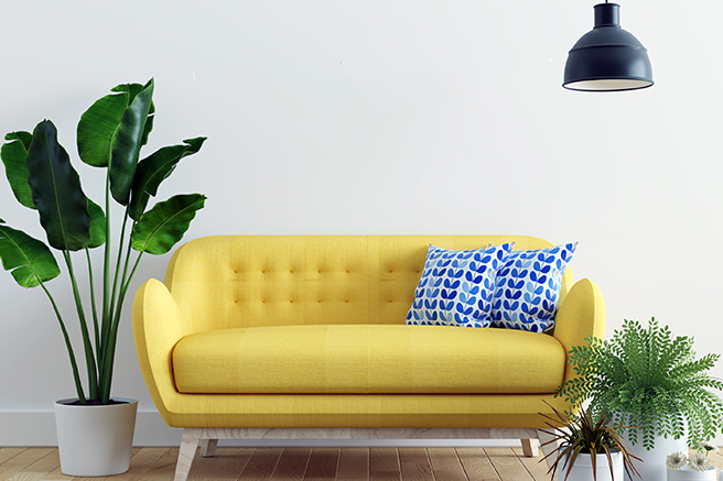 Cras semper ipsum sed